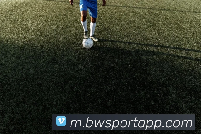 宝威体育APP平台生态图