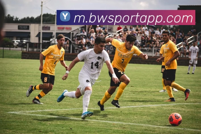 宝威体育APP全站App